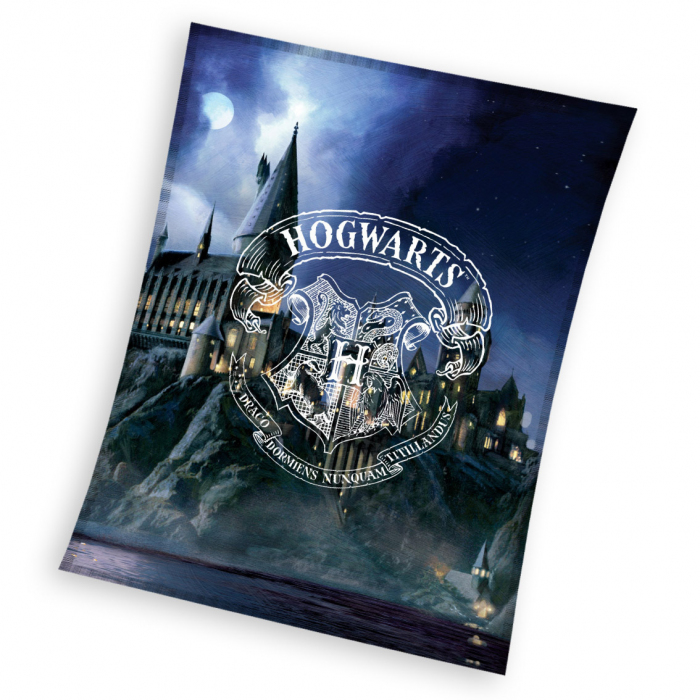 Harry Potter HP201065 Harry Potter HP201065
