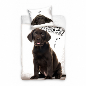 Dog Animal NL221227