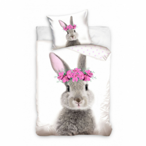 Hase NL211165