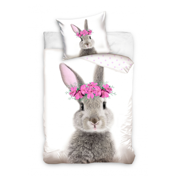 Hase NL211165 Hase NL211165
