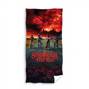 Stranger Things STR215004