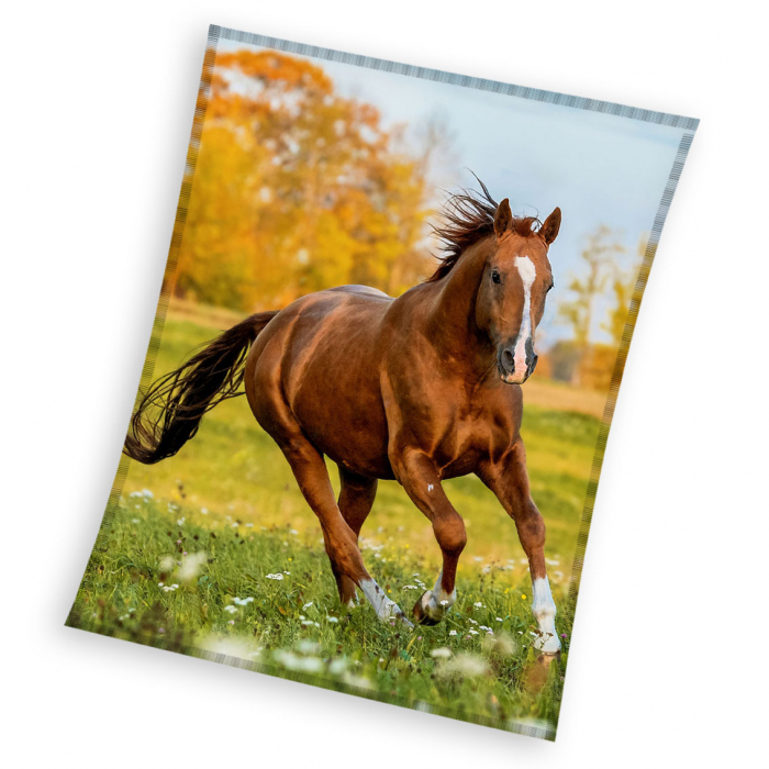 Pferd KNL231108 Pferd KNL231108