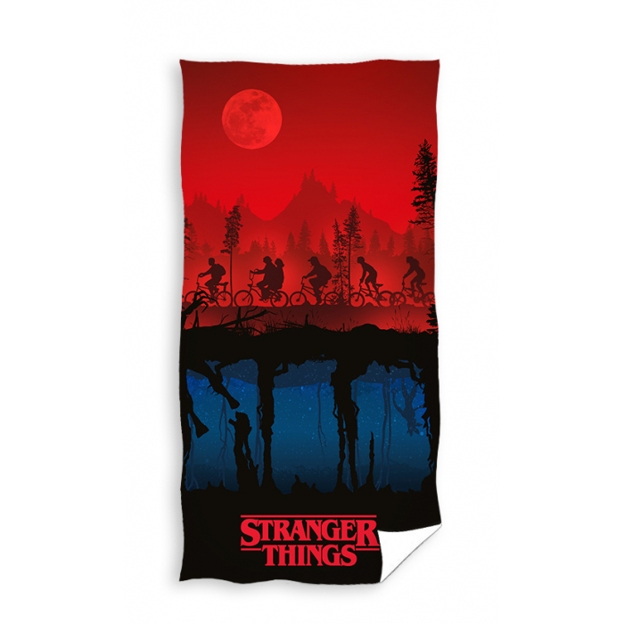 Stranger Things STR213002