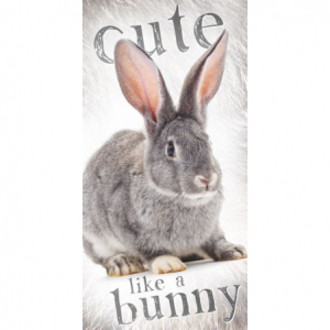 Hase Wild Rabbit WILD003