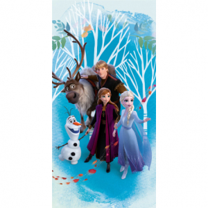Frozen 19TW141