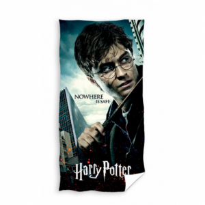 Harry Potter HP224008