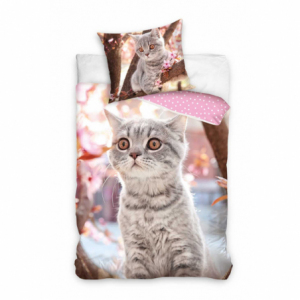 Katze NL214040