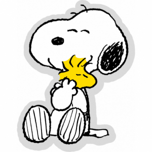 Snoopy SNO235041