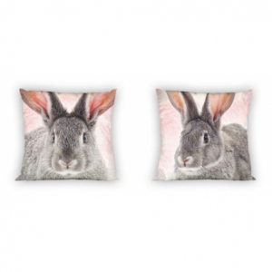 Hase WILD RABBIT