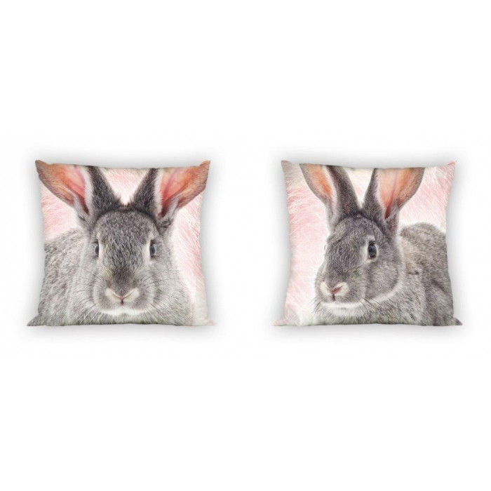 Hase WILD RABBIT Hase WILD RABBIT