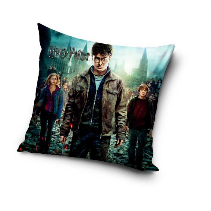 Harry Potter HP203022