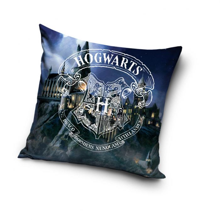 Harry Potter HP192005