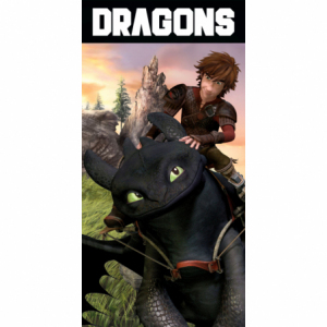 How To Train Your Dragon HTTYD241033