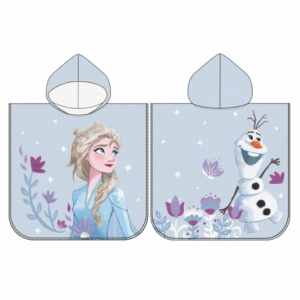 Frozen FRO24679