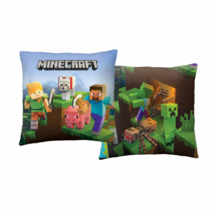 Minecraft MNC289