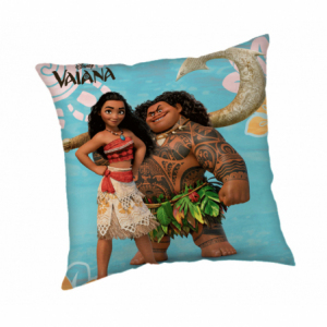 Vaiana 24CS084
