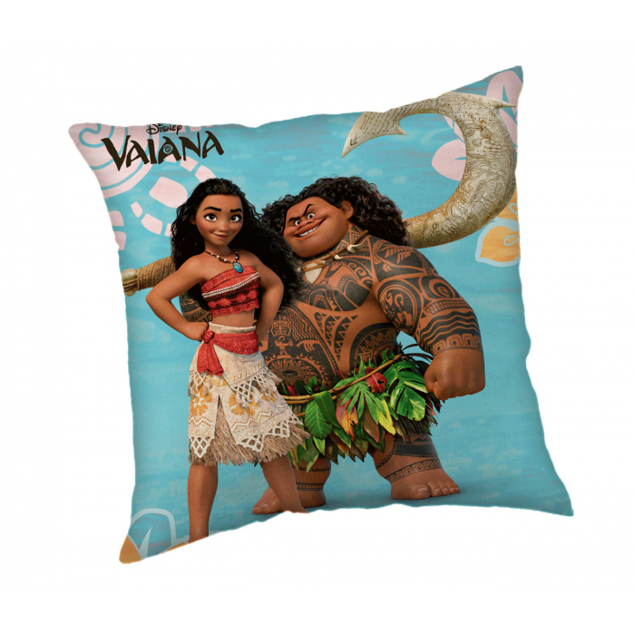 Vaiana 24CS084 Vaiana 24CS084