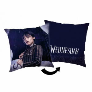 Wednesday 24CC029