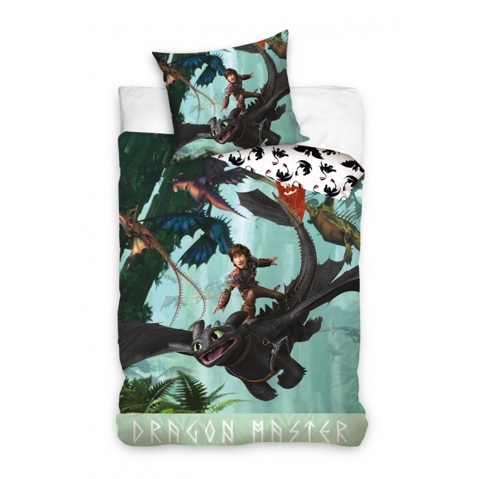 How To Train Your Dragon HTTYD235012