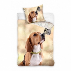 Hund Beagle NL214007