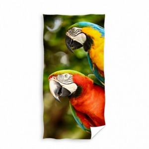 Tiere Papageien NL231334