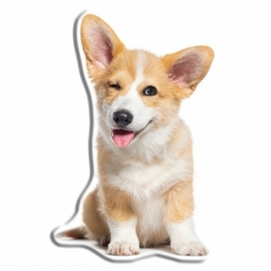 Corgi Formkissen KSZTDOG03