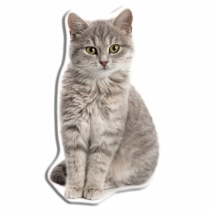 Braune Katze Formkissen KSZTCAT01