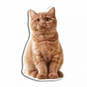 Graue Katze Formkissen KSZTCAT04