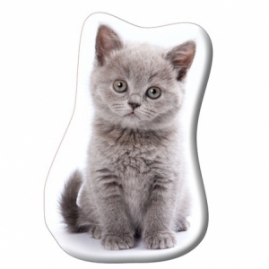 British Katze Formkissen KSZTCAT03