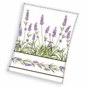 Lavenden KNL231003